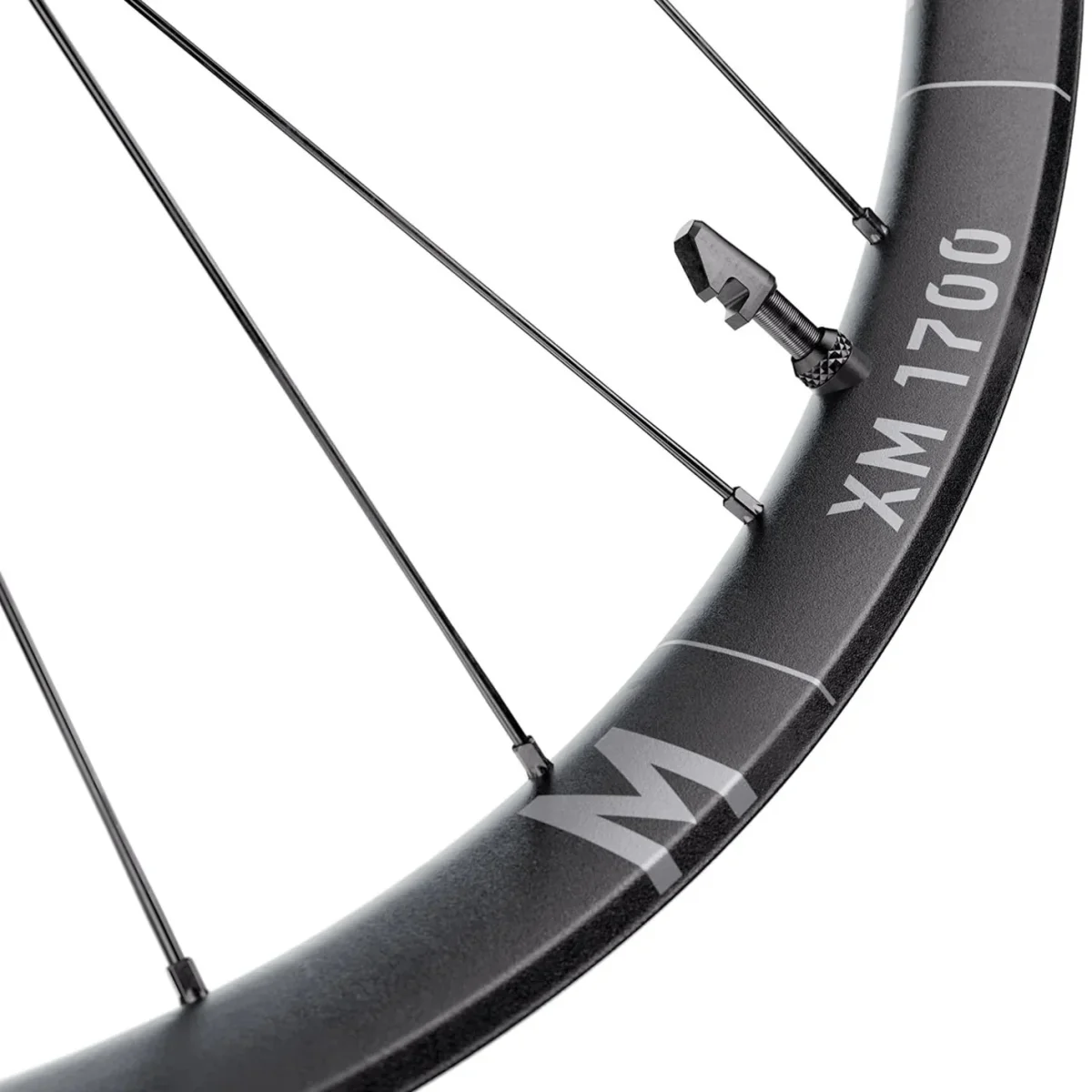 Roda Dianteira DT SWISS XM 1700 SPLINE 30 mm 29" 15x110 mm Boost 2026 - Image 3