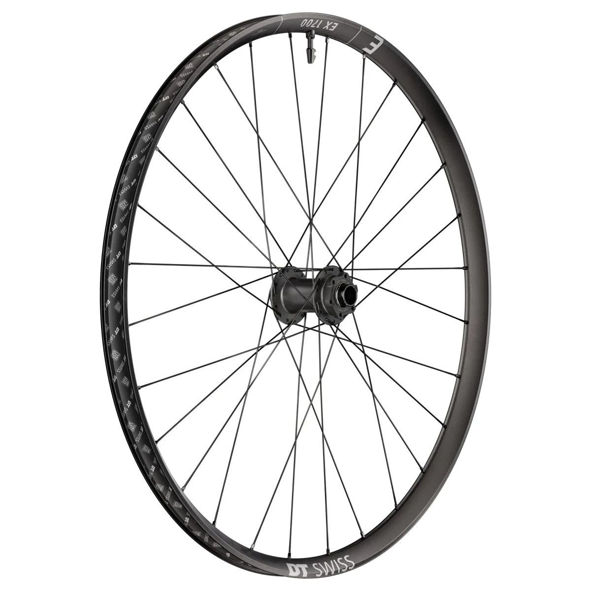 Roda Dianteira DT SWISS EX 1700 CLASSIC 30 mm 29" 20x110 mm Boost 2026 - Image 3